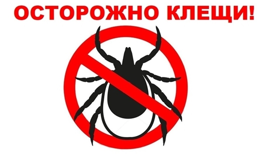 В Роспотребнадзоре запустят Всероссийскую «горячую линию» по вопросам профилактики клещевого энцефалита.